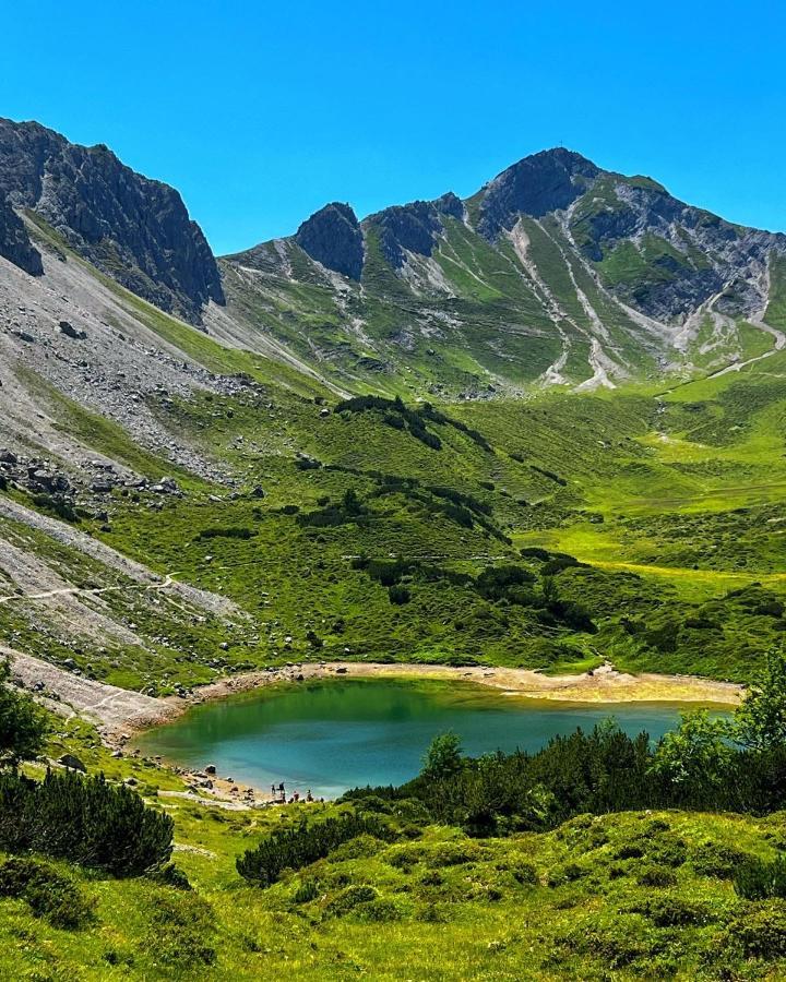 Gasthof Enzian Таннхайм Экстерьер фото